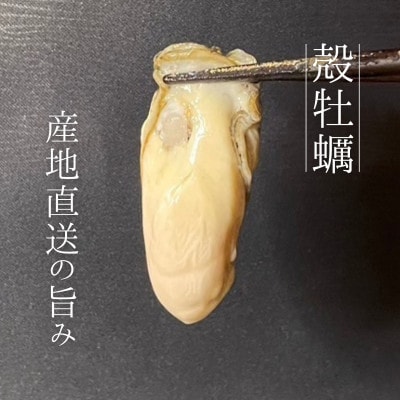 【北海道の海産物満腹セット】牡蠣『マルえもん-LL』10個、大粒天然アサリ1kg《砂抜済み》セット