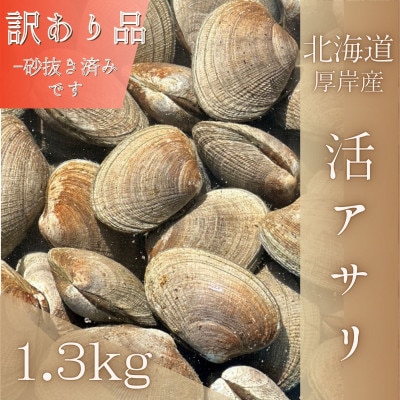 訳あり《砂出し済み》【北海道厚岸産】天然アサリ 1.3kg