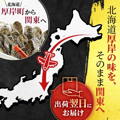 関東限定企画!北海道厚岸町から出荷翌日にお届け!『マルえもん』Lサイズ20個入り【さとふる限定】