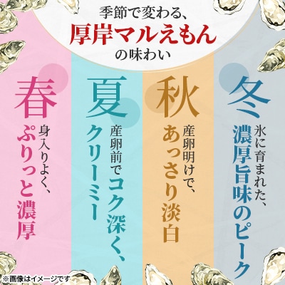 関東限定企画!北海道厚岸町から出荷翌日にお届け!『マルえもん』Lサイズ20個入り【さとふる限定】