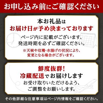関東限定企画!北海道厚岸町から出荷翌日にお届け!『マルえもん』Lサイズ20個入り【さとふる限定】
