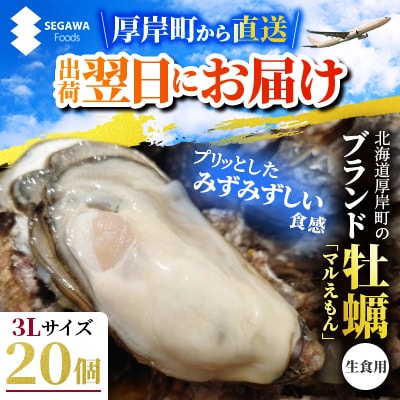 関東限定企画!北海道厚岸町直送!ブランド牡蠣「マルえもん」3Lサイズ20個(生食用)【さとふる限定】 | ふるさと納税のお礼品