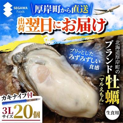【関東限定】北海道厚岸町直送!ブランド牡蠣「マルえもん」3Lサイズ20個(生食用)【さとふる限定】