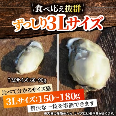 関東限定企画!北海道厚岸町直送!ブランド牡蠣「マルえもん」3Lサイズ20個(生食用)【さとふる限定】