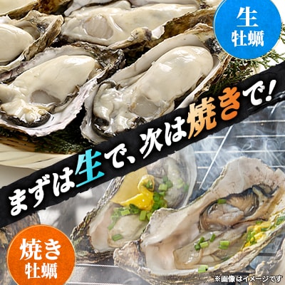 関東限定企画!北海道厚岸町直送!ブランド牡蠣「マルえもん」3Lサイズ20個(生食用)【さとふる限定】