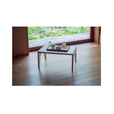 Rectangle RaysTray　タモ〜ash〜【DR009】