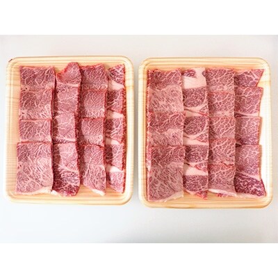 【2023年10月上旬発送】A5等級飛騨牛赤身肉焼き肉用600g モモ又はカタ肉