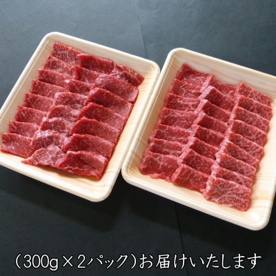A5等級飛騨牛赤身肉焼き肉用600g　モモ又はカタ肉