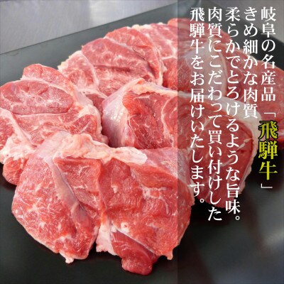 【A5等級】飛騨牛スネ肉カット500g