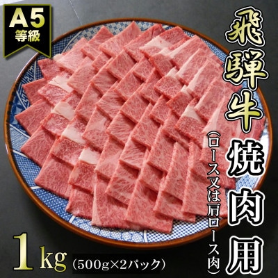 【A5等級】飛騨牛焼肉用1kg　ロース又は肩ロース肉