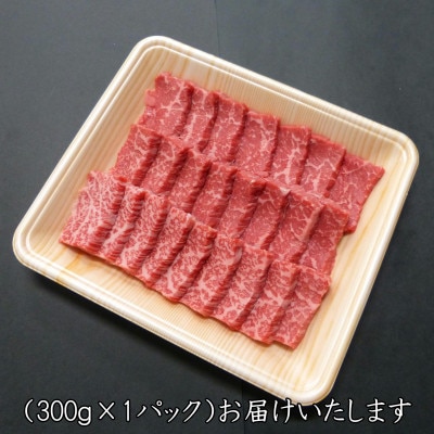 【A5等級】飛騨牛赤身肉焼肉用300g　モモ又はカタ肉