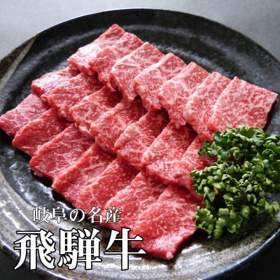 【A5等級】飛騨牛赤身肉焼肉用300g　モモ又はカタ肉