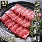 【A5等級】飛騨牛赤身肉焼肉用500g　モモ又はカタ肉