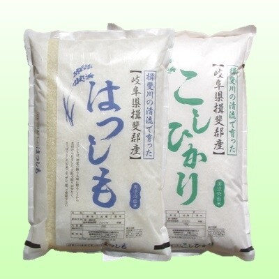 【令和4年産】特別栽培米 20kg【7分ツキ】(ハツシモ/コシヒカリ)
