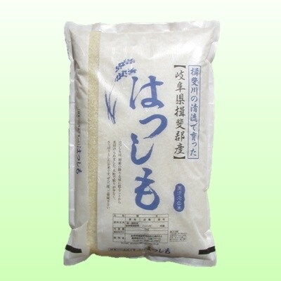 令和2年産 岐阜県産ハツシモ 原種