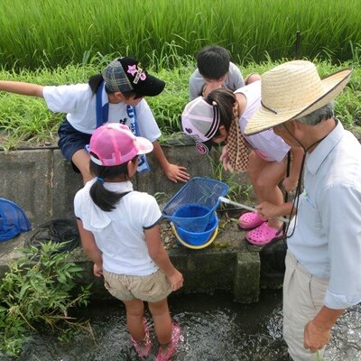 【令和4年産】特別栽培米 20kg【白米】(ミルキークイーン)