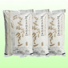 【令和4年産】特別栽培米 33kg【玄米】(ミルキークイーン)