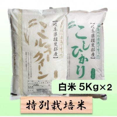 【令和6年産】特別栽培米 10 kg【白米】(ミルキークイーン/コシヒカリ)
