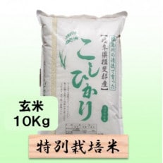 【令和6年産】特別栽培米 10kg【玄米】(コシヒカリ)