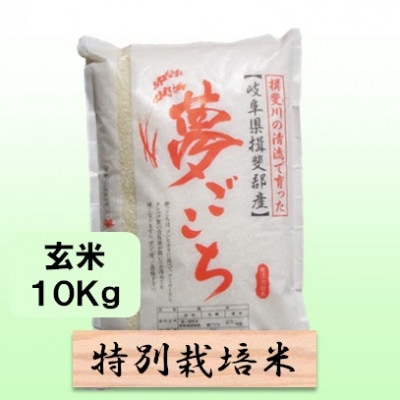 【令和7年産】特別栽培米 10kg【玄米】(夢ごこち)