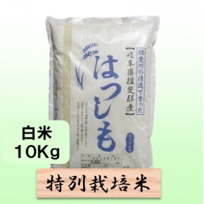【令和7年産】特別栽培米 10kg【白米】(ハツシモ)