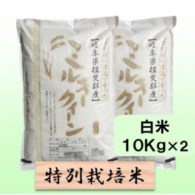 【令和6年産】特別栽培米 20kg【白米】(ミルキークイーン)