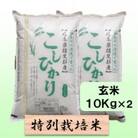【令和7年産】特別栽培米 20kg【玄米】(コシヒカリ)