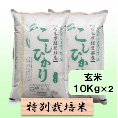 【令和7年産】特別栽培米 20kg【玄米】(コシヒカリ)