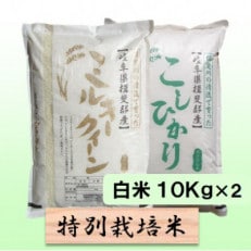 【令和5年産】特別栽培米 20kg【白米】(ミルキークイーン/コシヒカリ)