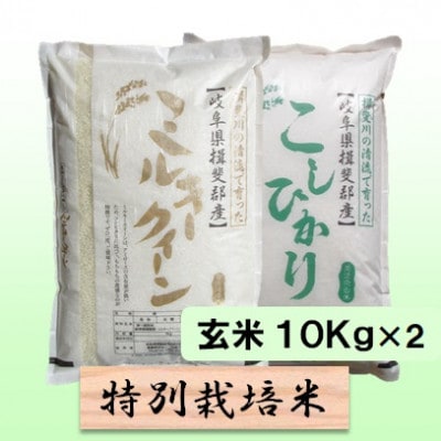 【令和6年産】特別栽培米 20kg【玄米】(ミルキークイーン/コシヒカリ)
