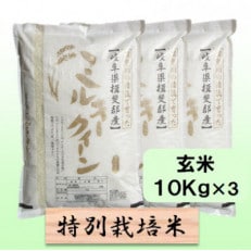 【令和5年産】特別栽培米 30kg【玄米】(ミルキークイーン)