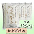 【令和7年産】特別栽培米 30kg【玄米】(ミルキークイーン)