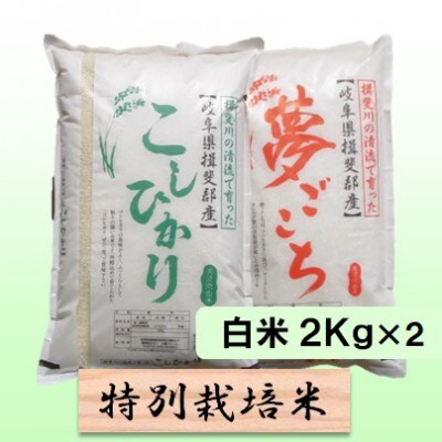 【令和6年産】特別栽培米4kg【白米】(コシヒカリ/夢ごこち)