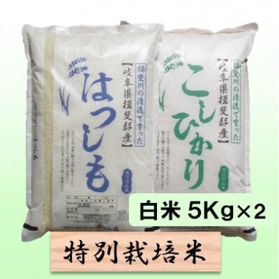 【令和6年産】特別栽培米 10kg【白米】(ハツシモ/コシヒカリ)
