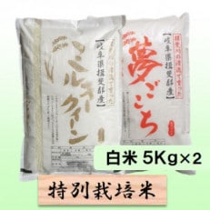 【令和5年産】特別栽培米 10kg【白米】(ミルキークイーン/夢ごこち)