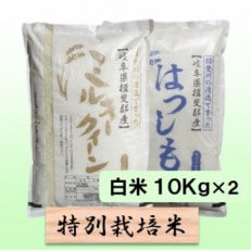 【令和5年産】特別栽培米 20kg【白米】(ミルキークイーン/ハツシモ)