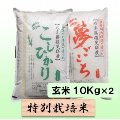 【令和6年産】特別栽培米 20kg【玄米】(コシヒカリ/夢ごこち)