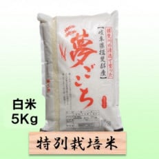 【令和6年産】特別栽培米 5kg【白米】(夢ごこち)