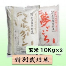 【令和5年産】特別栽培米 20kg【玄米】(ミルキークイーン/夢ごこち)