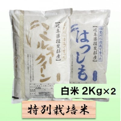 【令和6年産】特別栽培米4kg【白米】(ミルキークイーン/ハツシモ)