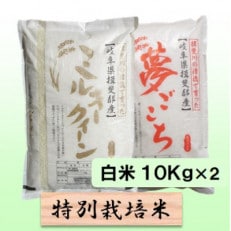 【令和5年産】特別栽培米 20kg【白米】(ミルキークイーン/夢ごこち)