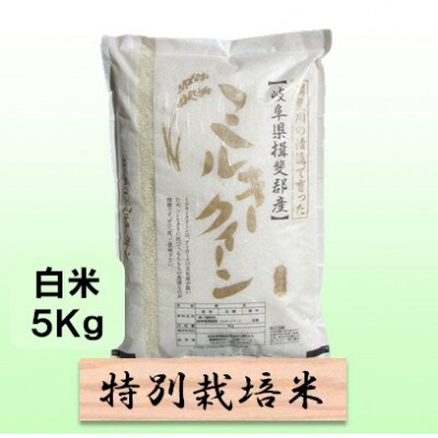 精白米 5kg 令和6年産 新潟県産 ミルキークイーン 安心安全な
