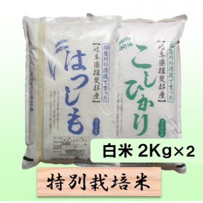 【令和6年産】特別栽培米 4kg【白米】(ハツシモ/コシヒカリ)