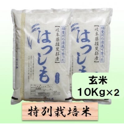 ハツシモ　玄米　20kg