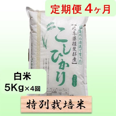 【毎月定期便】4ヶ月【令和7年産】特別栽培米5Kg【白米】(コシヒカリ)全4回