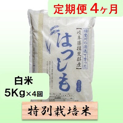 【毎月定期便】4ヶ月【令和7年産】特別栽培米5kg【白米】(ハツシモ)全4回