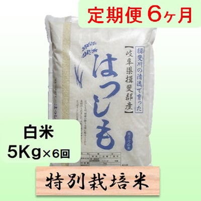 【毎月定期便】6ヶ月【令和7年産】特別栽培米5kg【白米】(ハツシモ)全6回