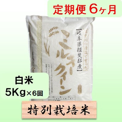 【毎月定期便】6ヶ月【令和6年産】特別栽培米5kg【白米】(ミルキークイーン)全6回