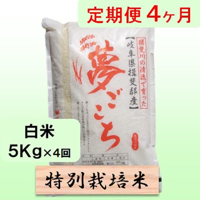 【毎月定期便】4ヶ月【令和7年産】特別栽培米5kg【白米】(夢ごこち)全4回