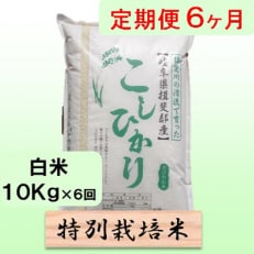 【毎月定期便】6ヶ月【令和6年産】特別栽培米10kg【白米】(コシヒカリ)全6回